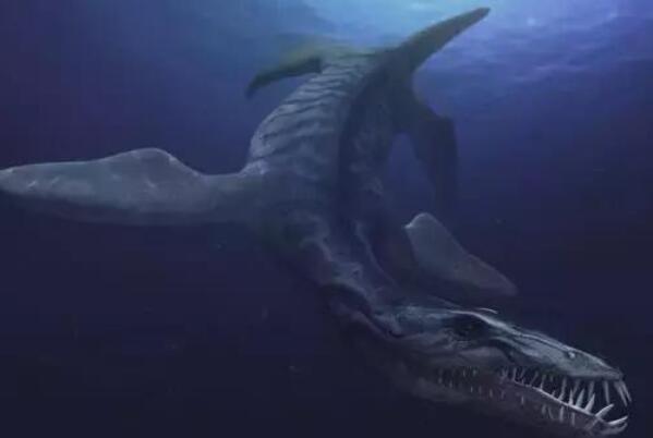 史前十大海洋巨兽排行榜 巨齿鲨上榜,第一生存在3.6亿年前