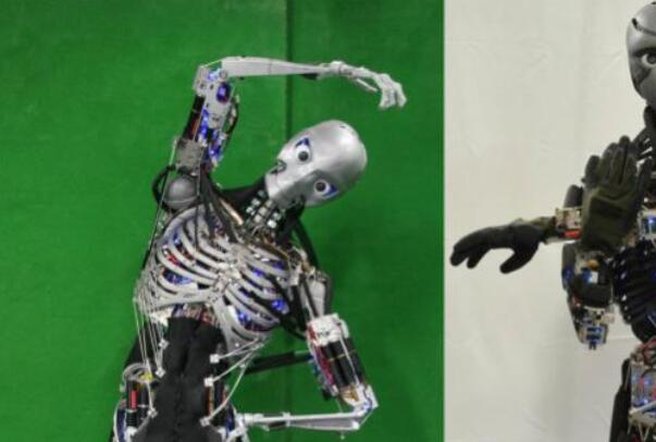 世界上最厉害的机器人：腱悟郎运动会流汗