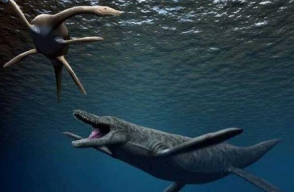 史前十大最强悍的海洋生物：邓氏鱼屈居第三，巨齿鲨独占鳌头