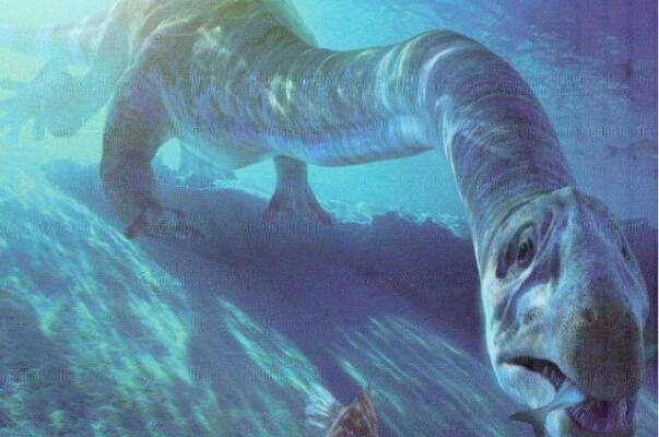 史前十大最强悍的海洋生物：邓氏鱼屈居第三，巨齿鲨独占鳌头