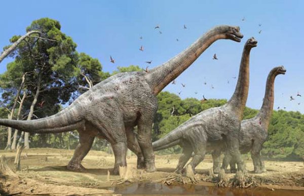 世界上最高最重的恐龙：腕龙高达15米重达30吨