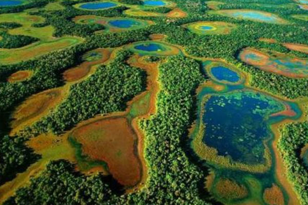 世界上最大的湿地：潘塔纳尔湿地面积24万平方公里