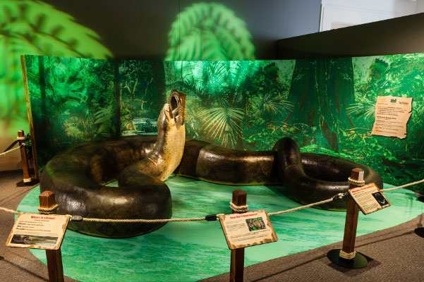 远古最大的蛇：泰坦蟒长15米重达1吨