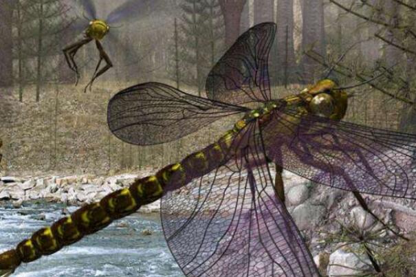 远古最大的蜻蜓：巨脉蜻蜓翼展高达75厘米