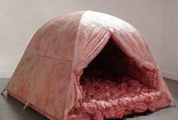 世界上最“恶心”的帐篷：睡一晚能获得7万元