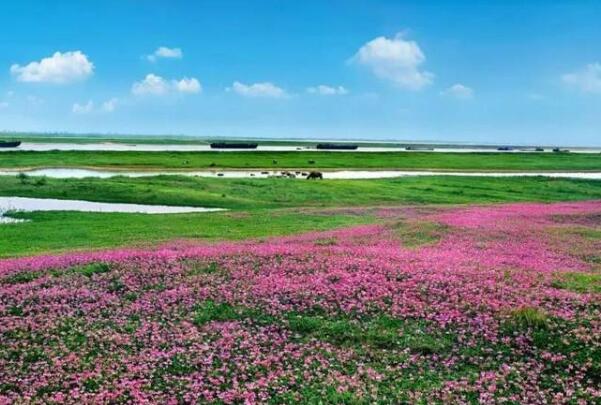 中国最大的淡水湖：鄱阳湖面积4070平方千米
