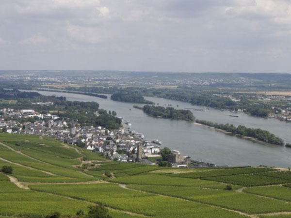 欧洲最长的河流：莱茵河全长1232千米