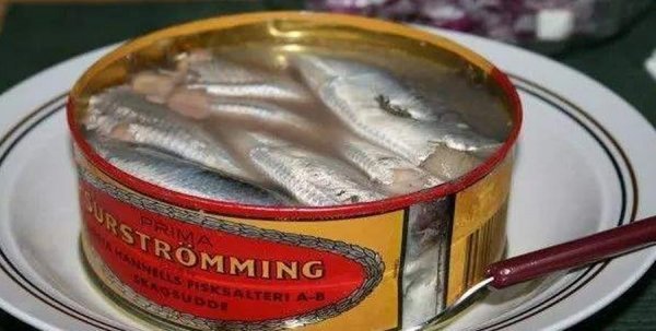 世界上最臭的食物：鲱鱼罐头奇臭无比！