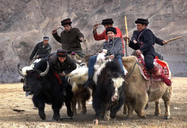 中国最奇特的民族：塔吉克族日常用伊朗语交流
