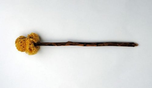 古代各国最奇葩的擦屁股工具：日本用蝉翅最奇葩！