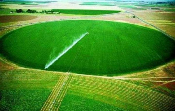 世界上最贵的水，以色列农业滴水寸金