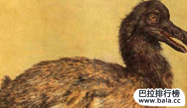 世界已灭绝的十大动物：渡渡鸟上榜，长毛象排首位