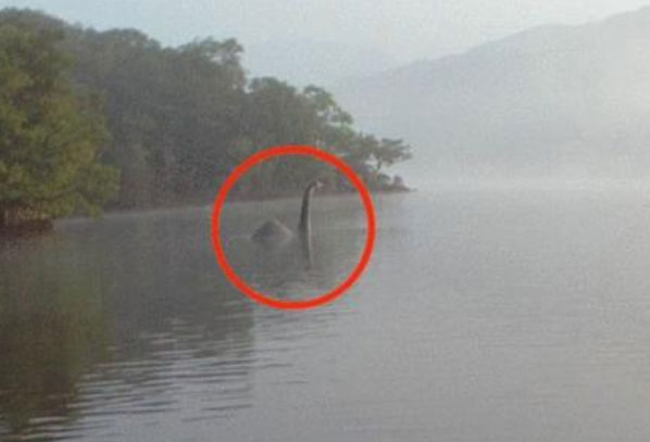 地球上最神秘的生物之一：尼斯湖水怪