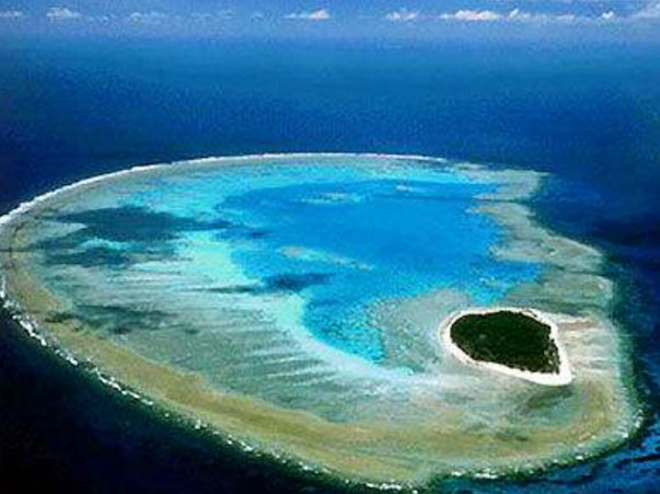 世界最大的珊瑚礁是什么：大堡礁是海洋生物的天堂