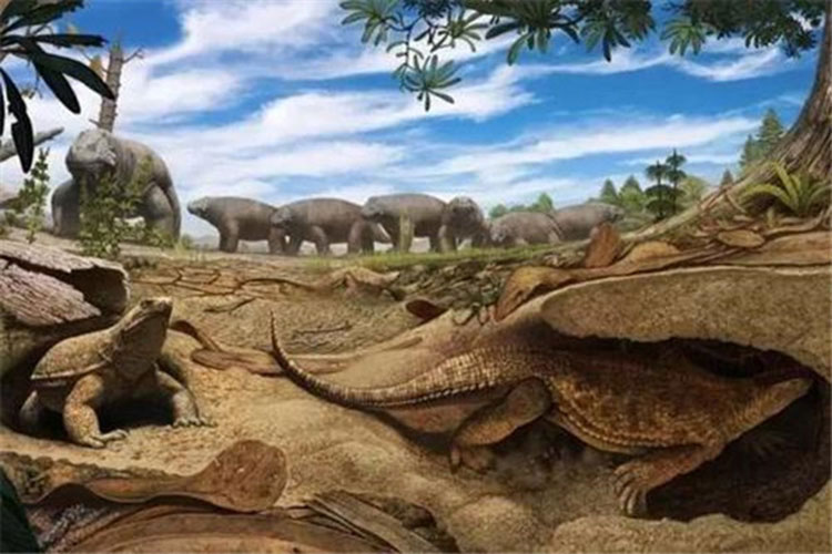 世界上最老的海龟是什么：半甲齿龟生活于白垩纪