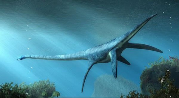 世界上最大海洋巨兽史前：薄片龙身长可达15米