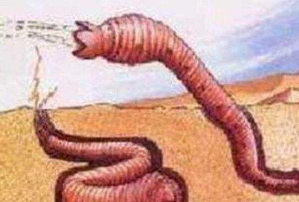 沙漠十大恐怖动物：死亡之虫会喷出毒液让人致命