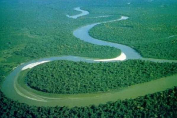 世界上最美的十大热带雨林，第一名被称为“地球之肺”