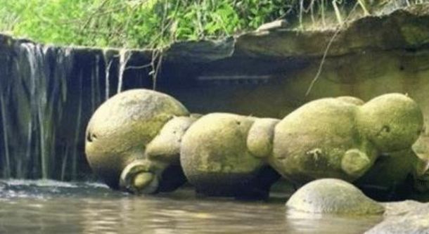 全球最奇怪的石头：一到雨季就疯长变成“胖子”