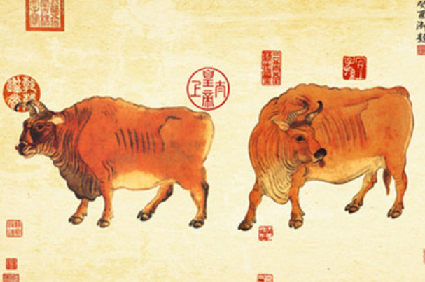 现存最早的纸本中国画：《五牛图》堪称“镇国之宝”