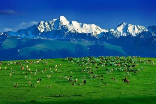 中国十大最美牧场：仙山牧场上榜，呼伦贝尔牧场第一