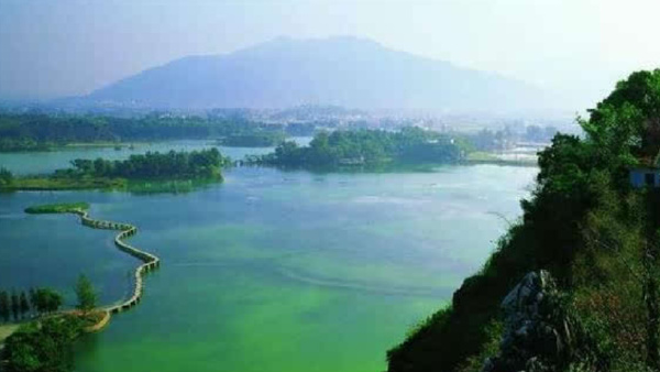 中国最美十大湿地排行榜，中国最美湿地在哪里