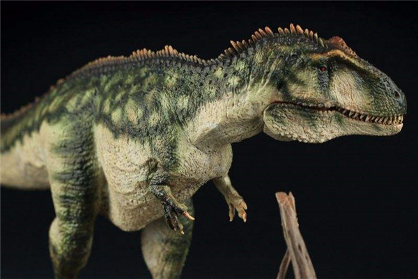 世界上最矮的食肉恐龙：巨兽龙身高只有4米
