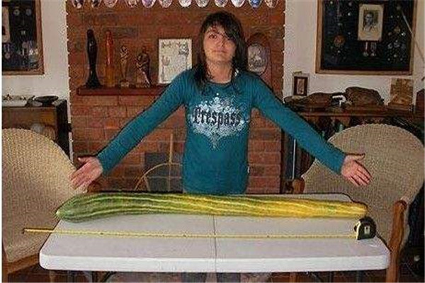 世界上最长的黄瓜：长达1.19米刷新了纪录