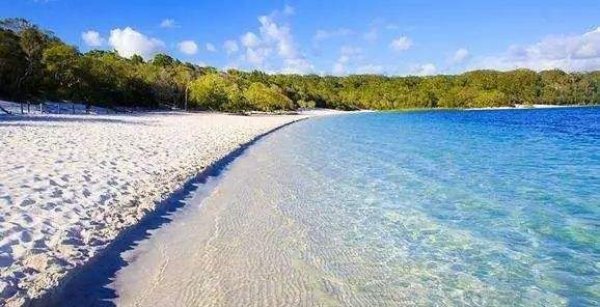 世界上最危险的海滩：弗雷泽岛面积1620平方千米