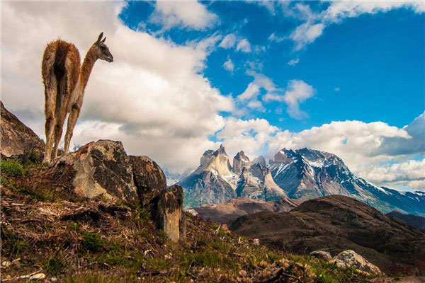 世界上最狭长的国家：智利南北长4352公里