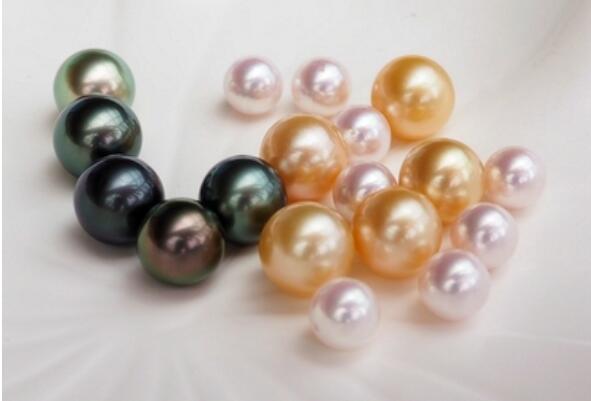 全球四大珍珠品种：南洋珍珠被称为“珍珠中的女王”