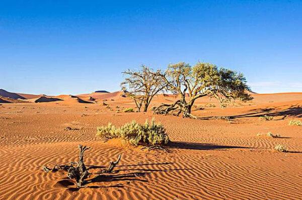 世界上最古老的十个沙漠：第一名形成于约1亿年前