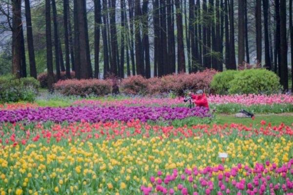 中国十大植物园排名：厦门园林植物园上榜