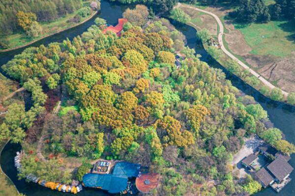 中国十大植物园排名：厦门园林植物园上榜