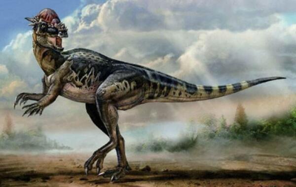 世界上脑最小的恐龙：剑龙身长9米，大脑重仅70克