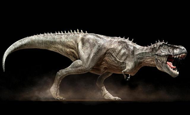 世界10大最大的恐龙，阿根廷龙身长约12米重100吨
