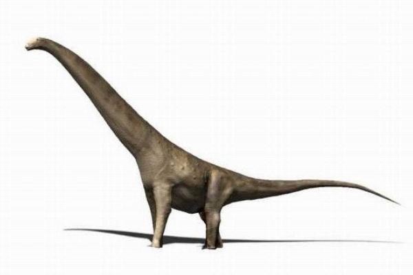 世界10大最大的恐龙，阿根廷龙身长约12米重100吨