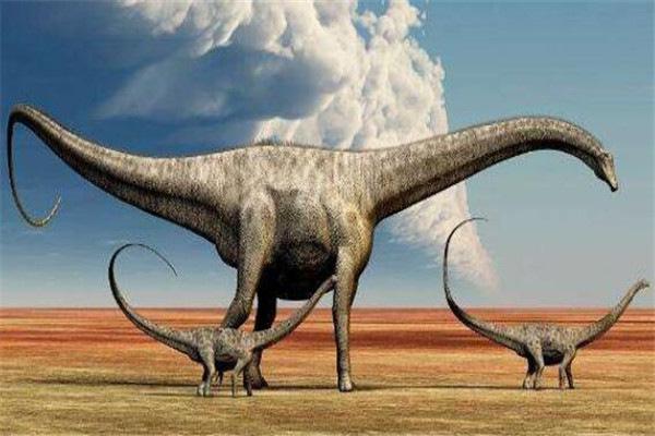 地球上10大最强的恐龙：棘龙上榜，鲨齿龙夺冠