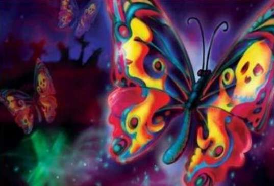 世界上最诡异的蝴蝶：鬼美人凤蝶捕捉者会离奇死亡