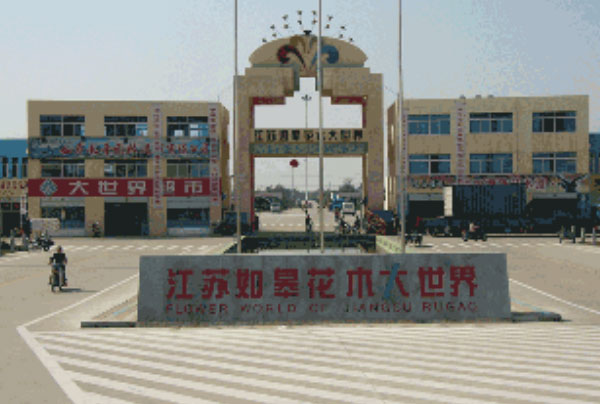 中国十大花木交易市场，昆明斗南花景区排在第一名