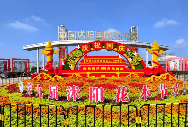 中国十大花木交易市场，昆明斗南花景区排在第一名