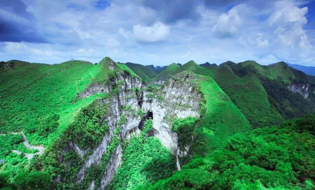 世界上最大的原始森林：位于广西，面积9.6万平方米 排行榜 第2张