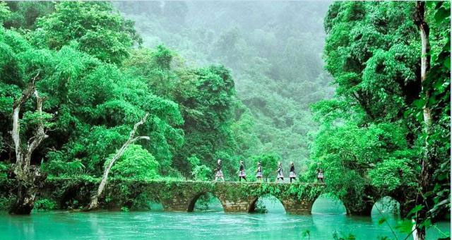 中国最美十大森林：每个都如仙境一般，你去过几个？
