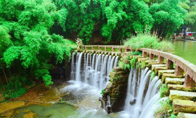 中国最美十大森林：每个都如仙境一般，你去过几个？