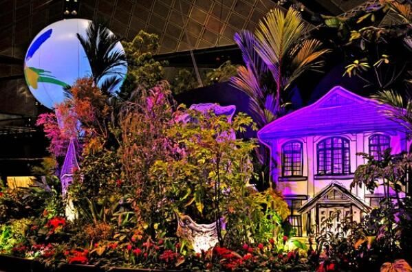 世界最著名的十大园艺展，切尔西花展最为著名