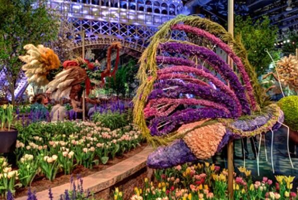 世界最著名的十大园艺展，切尔西花展最为著名