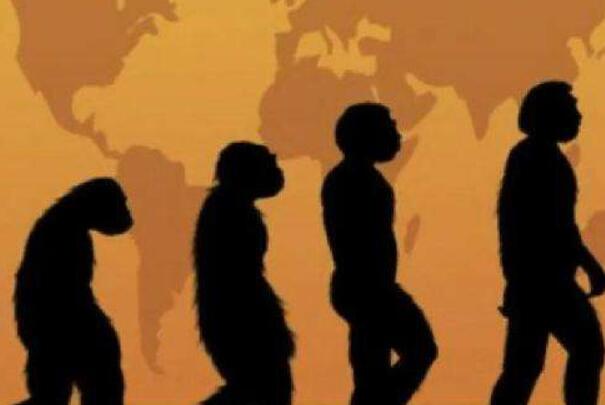 世界上第一个死亡的人：古猿人（人类由古猿进化而来）