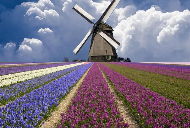 全球最开放的国家：荷兰“黄赌毒”全部合法