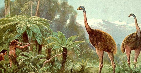 盘点科学家想要复活的10种动物，渡渡鸟上榜！