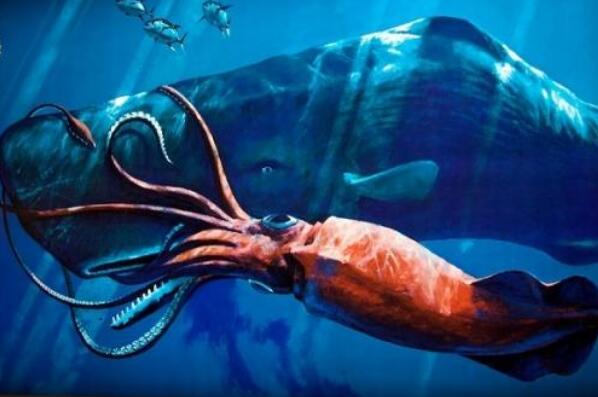 揭秘深海里可怕的十大生物，你见过几种？